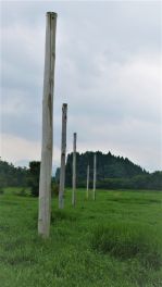 積哲夫の神写2010年7月31日　秋田県　大湯環状列石「その28」