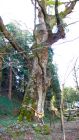 2023年3月3日 大分県竹田市_その4