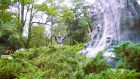 2024年3月17日 島根県出雲市_その1