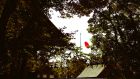 2024年3月17日 島根県出雲市_その4