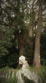 積哲夫の神写 2018年6月28日 大分県別府市「その2」