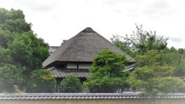 積哲夫の神写 2018年6月28日 大分県杵築市「その4」