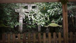 積哲夫の神写 2018年6月28日 大分県宇佐市「その1」