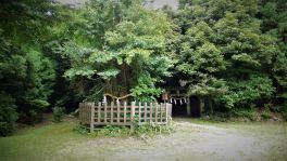 積哲夫の神写 2018年6月28日 大分県宇佐市「その2」