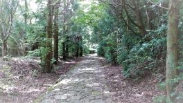 積哲夫の神写 2018年6月28日 大分県宇佐市「その3」
