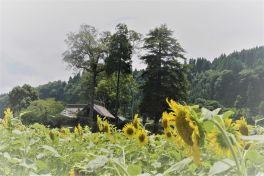 積哲夫の神写 2018年8月2日 大分県日田市「その7」