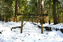 2023年2月11日 福井県勝山市_その1