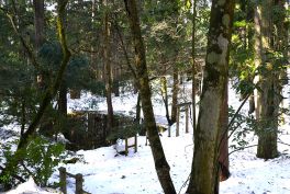 2023年2月11日 福井県勝山市_その2