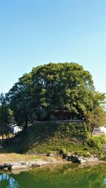 2022年11月3日 福岡県八女市_その2