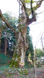 2023年3月3日 大分県竹田市_その4