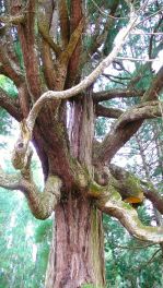 2023年3月30日 宮崎県高千穂町_その6