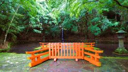 2023年5月19日 大分県宇佐八幡宮_その2