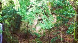 2023年5月19日 大分県宇佐八幡宮_その3