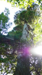 2023年9月29日 大分県日田市_その1