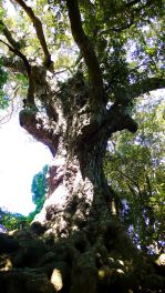 2023年9月29日 熊本県菊池市_その2