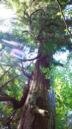 2023年9月29日 大分県日田市_その2