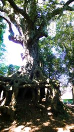 2023年9月29日 熊本県菊池市_その3