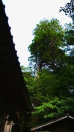 2023年9月29日 大分県日田市_その3