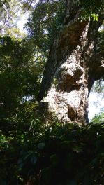 2023年9月29日 熊本県菊池市_その4