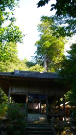 2023年9月29日 大分県日田市_その4