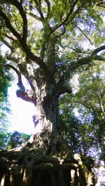 2023年9月29日 熊本県菊池市_その6