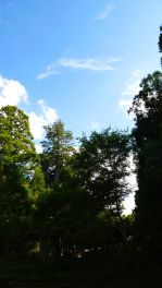 2023年9月29日 大分県日田市_その6