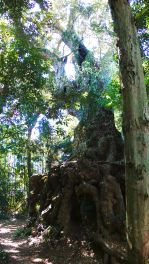 2023年9月29日 熊本県菊池市_その7