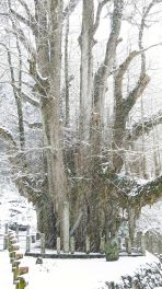 2024年3月20日 岡山県奈義町_その10