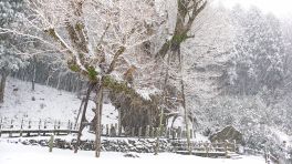 2024年3月20日 岡山県奈義町_その1