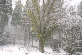 2024年3月20日 岡山県奈義町_その2