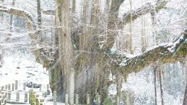 2024年3月20日 岡山県奈義町_その3