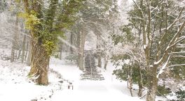 2024年3月20日 岡山県奈義町_その6