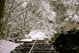 2024年3月20日 岡山県奈義町_その7