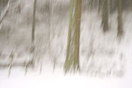 2024年3月20日 岡山県奈義町_その8