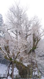 2024年3月20日 岡山県奈義町_その9