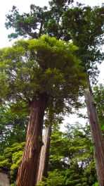 2024年5月19日 茨城県鹿嶋市_その2