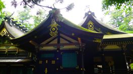 2024年5月20日 千葉県香取市_その2