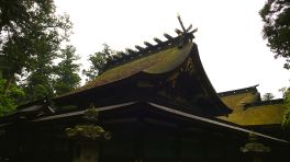 2024年5月20日 千葉県香取市_その3