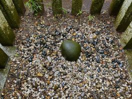 2024年5月20日 千葉県香取市_その4