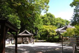 2024年9月14日 大阪府三島郡_その2