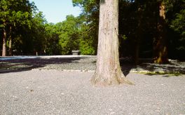 2024年11月4日 三重県伊勢外宮_その4