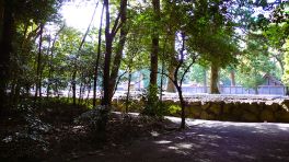 2024年11月4日 三重県伊勢外宮_その7