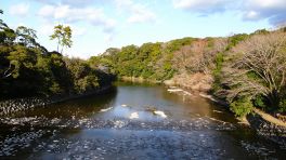 2024年12月23日 三重県伊勢内宮_その4
