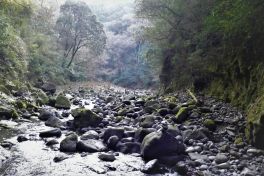 積哲夫の神写 2012年1月9日 宮崎県高千穂「その2」