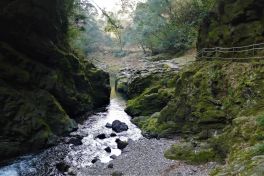 積哲夫の神写 2012年1月9日 宮崎県高千穂「その3」