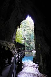 積哲夫の神写2013年2月10日　秋芳洞「その5」