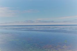 積哲夫の神写2010年7月2日　北海道　稚内「その2」