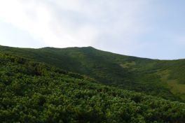 積哲夫の神写2010年7月3日　北海道　利尻島「その1」