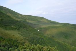 積哲夫の神写2010年7月3日　北海道　利尻島「その2」