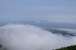 積哲夫の神写2010年7月3日　北海道　利尻島「その4」